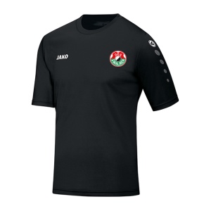 DES Swalmen Trainingsshirt korte mouw