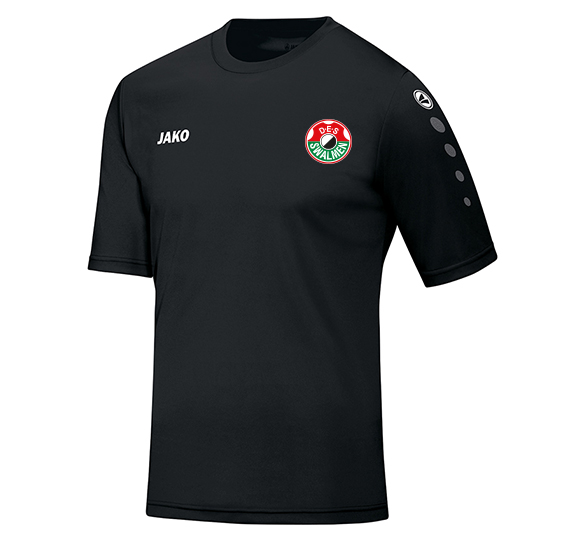 DES Swalmen Trainingsshirt korte mouw