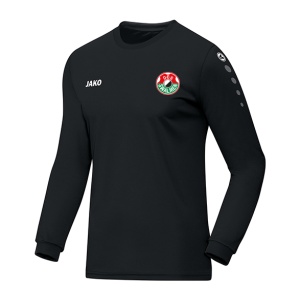 DES Swalmen Trainingsshirt lange mouw