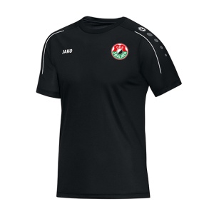 DES Swalmen Inloopshirt
