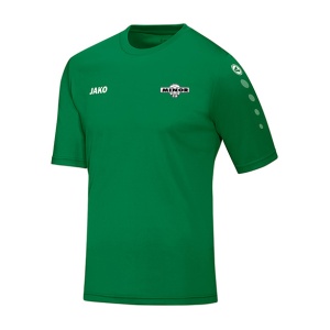 RKSV Minor Trainingsshirt KM