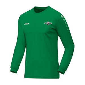 RKSV Minor Trainingsshirt LM
