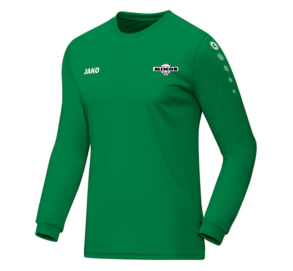 RKSV Minor Trainingsshirt LM