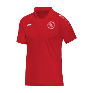 RKVV De Leeuw Polo