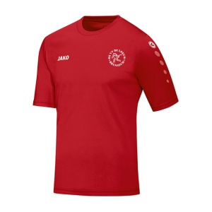RKVV De Leeuw Trainingsshirt korte mouw