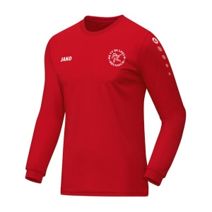 RKVV De Leeuw Trainingsshirt lange mouw